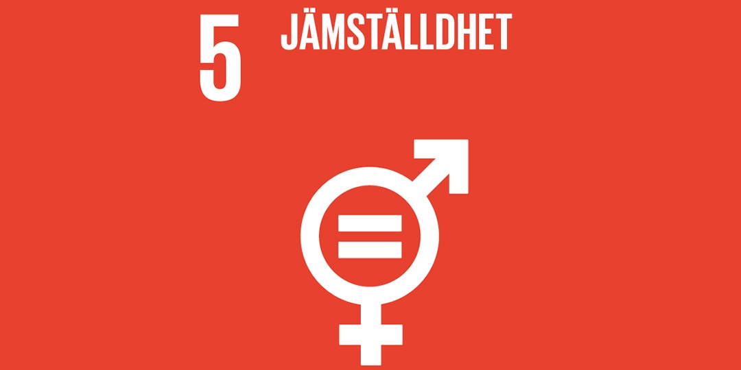 Objective 5 globala målet nr 5